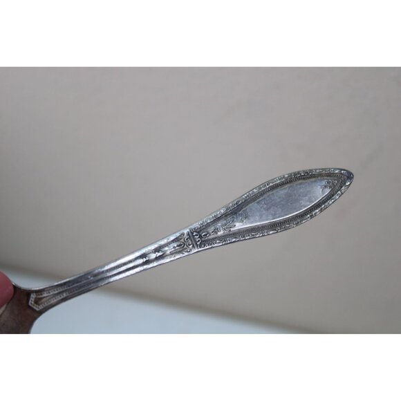 William A Rogers Mystic Coronet Silverplate Round Soup Spoon ANTIQUE 93608